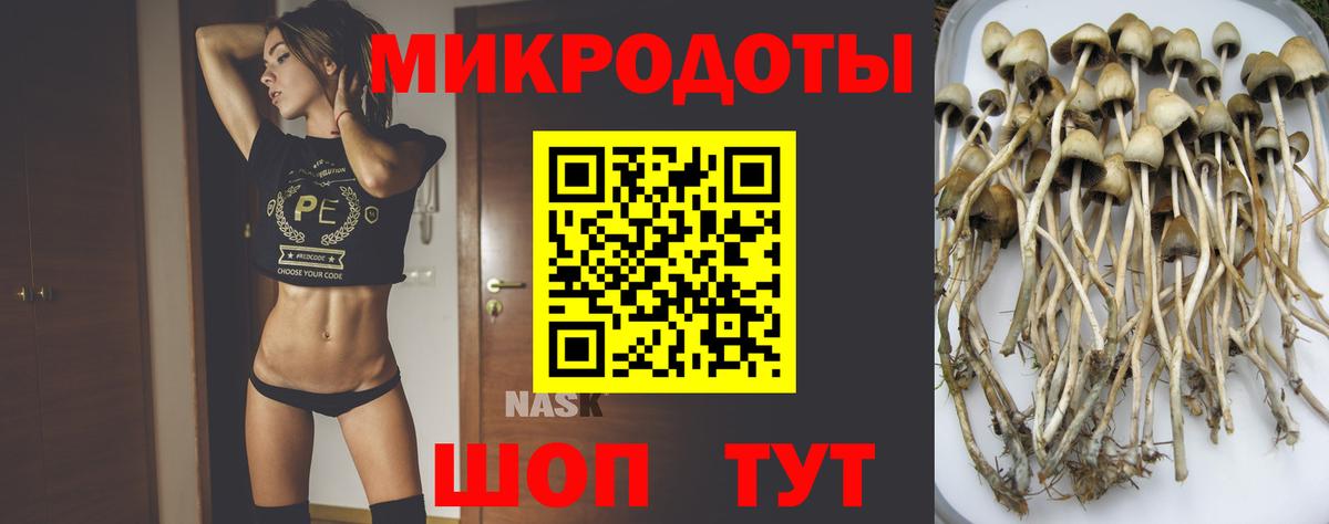 Галлюциногенные грибы Psilocybine cubensis  закладка  Златоуст  Вход с VPN 